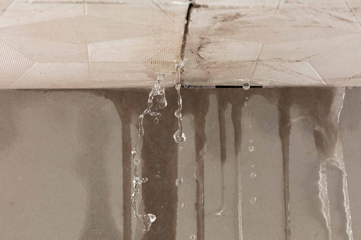 Roof leak detection Adelaide — technician using thermal imaging to trace a hidden commercial roof leak